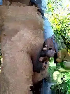 himvilohi08 online show from December 14, 5:24 am