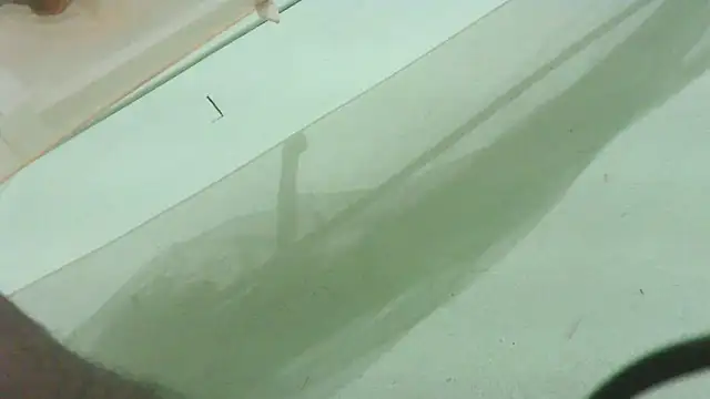 CrazyMove83 online show from February 25, 12:05 pm