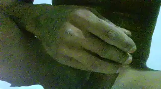 Snapshot of javier0990 chatting on March 14, 8:32 am javier0990 online show from March 14, 8:32 am