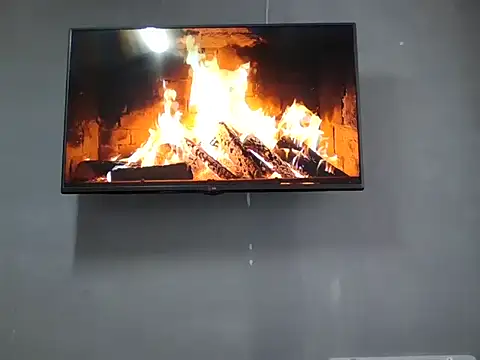 Snapshot of DaphneRosses chatting on November 11, 2:12 pm DaphneRosses online show from November 11, 2:12 pm