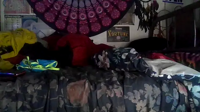 GardeniaFields online show from February 10, 8:46 am