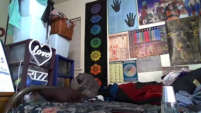 GardeniaFields online show from October 26, 3:51 am