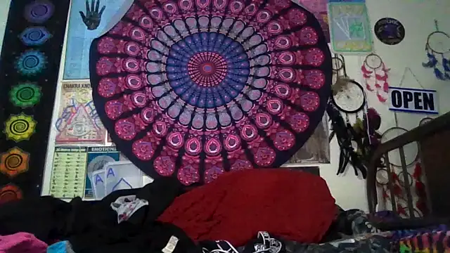 GardeniaFields online show from February 22, 8:28 am