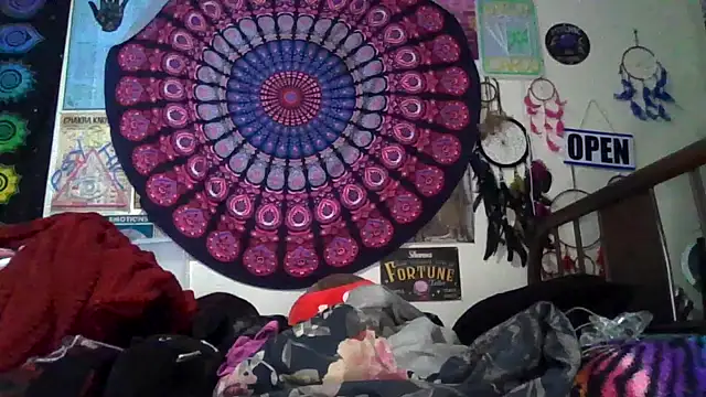 GardeniaFields online show from February 24, 8:59 am