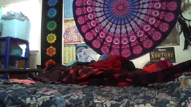 GardeniaFields online show from February 22, 8:43 pm