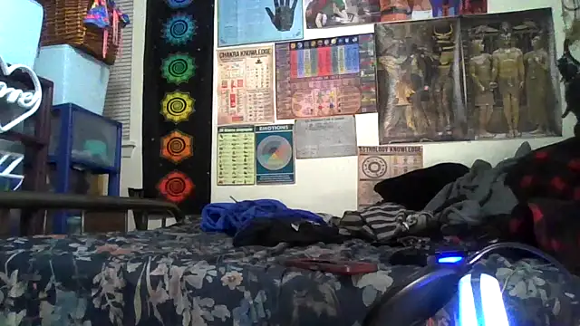 GardeniaFields online show from November 4, 8:18 am