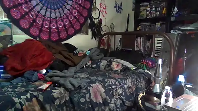 GardeniaFields online show from December 17, 4:50 am