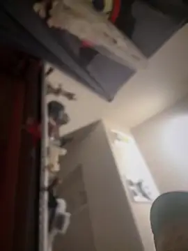 flores6cachondo9 online show from September 20, 12:32 pm