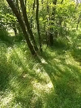 Snapshot of sile47 chatting on May 24, 12:16 pm sile47 online show from May 24, 12:16 pm