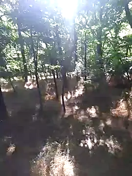 Snapshot of sile47 chatting on June 14, 1:01 pm sile47 online show from June 14, 1:01 pm