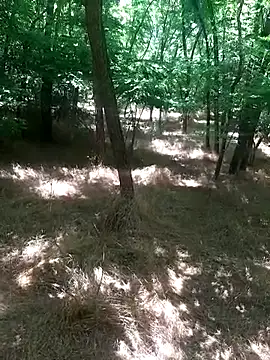 Snapshot of sile47 chatting on June 21, 10:54 am sile47 online show from June 21, 10:54 am