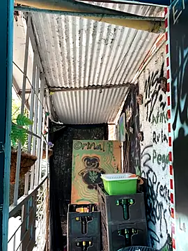 val zx online show from October 2, 4:21 pm