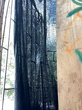 val zx online show from September 10, 6:29 pm