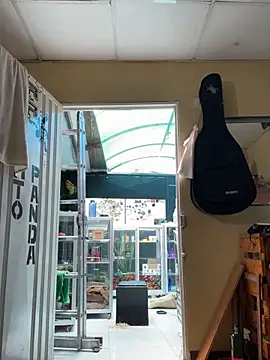 val zx online show from September 11, 4:18 pm