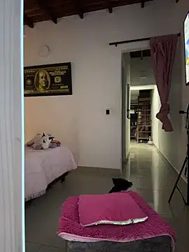 Paulet Johnson online show from January 18, 1:31 am