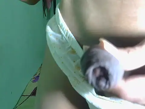 SIHUMISEXY online show from March 8, 6:22 pm