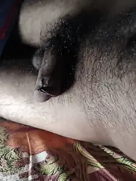 Mr skywalker online show from March 28, 11:33 am