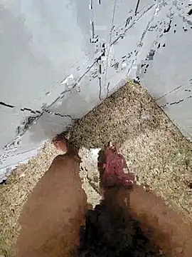 Pauloosil online show from March 12, 1:51 pm