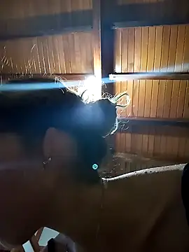 Snapshot of Sexi_girl29 chatting on November 1, 9:41 pm Sexi girl29 online show from November 1, 9:41 pm