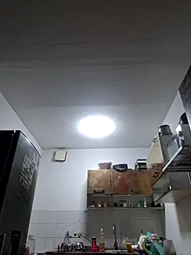 Snapshot of ThePython666 chatting on November 8, 6:44 pm ThePython666 online show from November 8, 6:44 pm