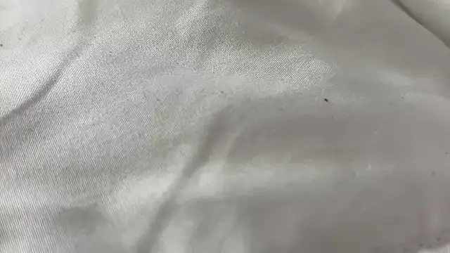 kngkeeem online show from April 5, 9:10 pm