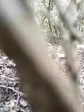 CertifiedSatisfier online show from November 12, 10:41 am