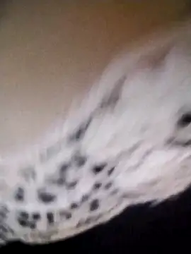 az9ovsqjqhva online show from November 8, 11:52 pm