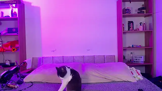 Soy mangx online show from January 11, 3:02 am