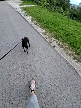 Snapshot of svenpfeifer chatting on September 16, 6:58 am svenpfeifer online show from September 16, 6:58 am