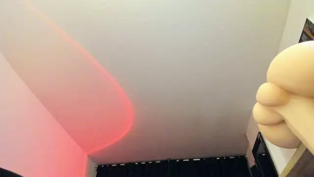 Snapshot of Hat_girl chatting on December 4, 3:16 am Hat girl online show from December 4, 3:16 am