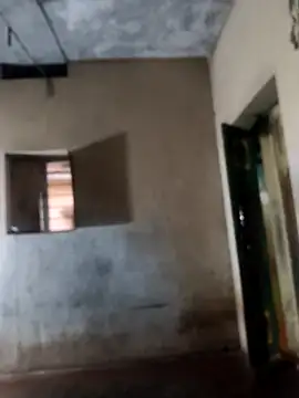 Snapshot of PolarFriend0 chatting on February 17, 12:57 pm PolarFriend0 online show from February 17, 12:57 pm