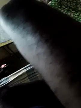 Snapshot of PolarFriend0 chatting on February 14, 4:40 pm PolarFriend0 online show from February 14, 4:40 pm