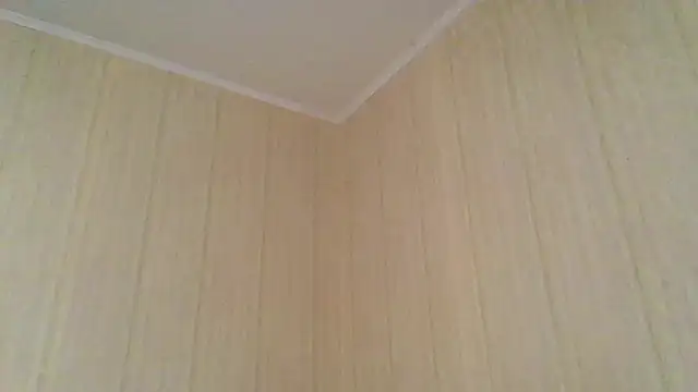  Black-Panther  online show from November 13, 8:18 am