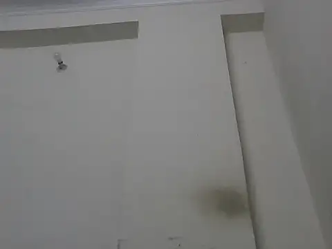 sutfvkii online show from September 26, 4:58 pm