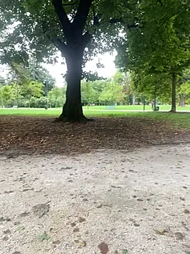 Rimmingtop online show from September 26, 8:10 am