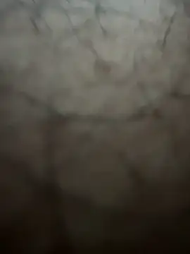 Vicky20256 online show from February 27, 1:50 am