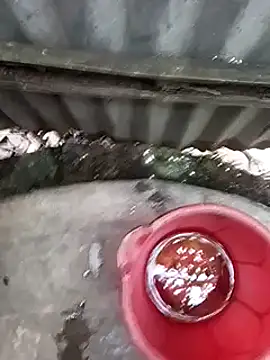 Ayush pussy fucker online show from November 16, 9:36 am