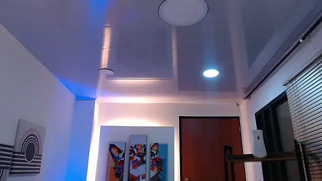 dangel noir6 online show from November 9, 11:25 am