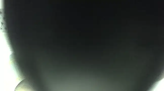 Snapshot of elizabeth_swan18 chatting on March 17, 12:46 pm elizabeth swan18 online show from March 17, 12:46 pm