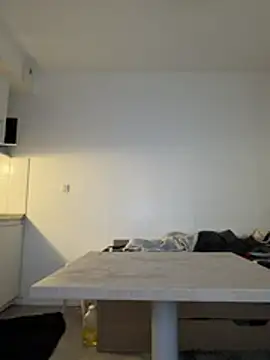 Renoirmonter online show from March 26, 8:56 am