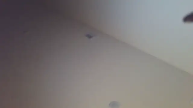 shurthingx online show from April 14, 4:17 am