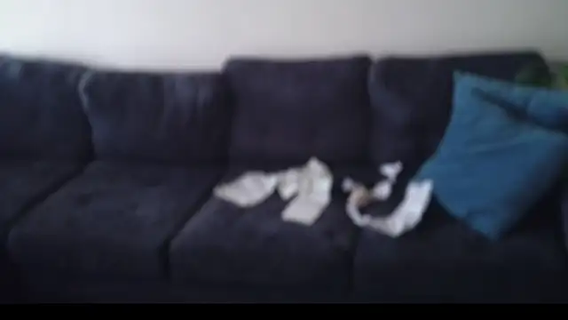 shurthingx online show from April 10, 6:04 pm