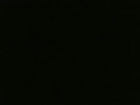 snehashreyatamil online show from October 12, 7:10 am