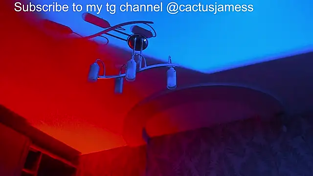 Snapshot of Cactus__James chatting on November 21, 11:59 pm Cactus James online show from November 21, 11:59 pm