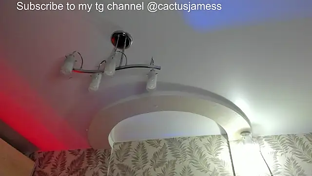 Snapshot of Cactus__James chatting on February 21, 8:11 pm Cactus James online show from February 21, 8:11 pm