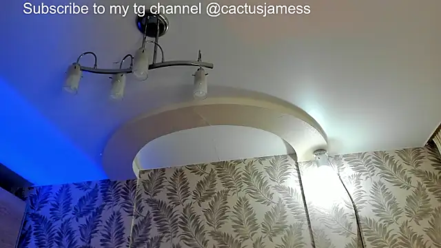 Snapshot of Cactus__James chatting on June 28, 10:21 am Cactus James online show from June 28, 10:21 am