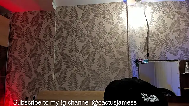 Cactus  James online show from October 13, 12:40 pm