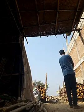 hot integer online show from February 15, 4:24 am