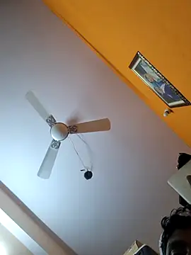 hot integer online show from November 27, 2:23 am