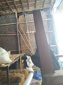 hot integer online show from February 21, 2:57 am